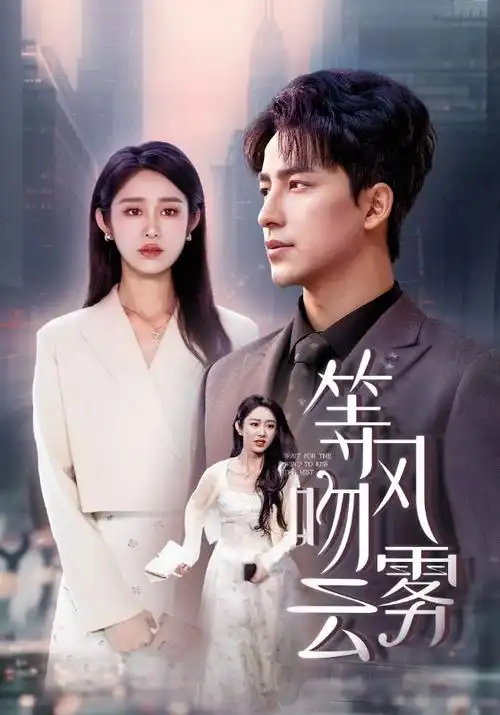 电视剧海报：破晓行动